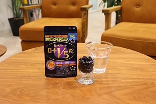 ���������� ������V5γ 62γ �ܤΥ��ץ���� ��ƥ��� ������������� 1��1γ ��ǽ��ɽ������ �֥롼�饤�Ȥʤɤθ��ɷ㤫���ܤ��� 6