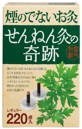 煙のでないお灸 せんねん灸の奇跡 レギュラー 220点入