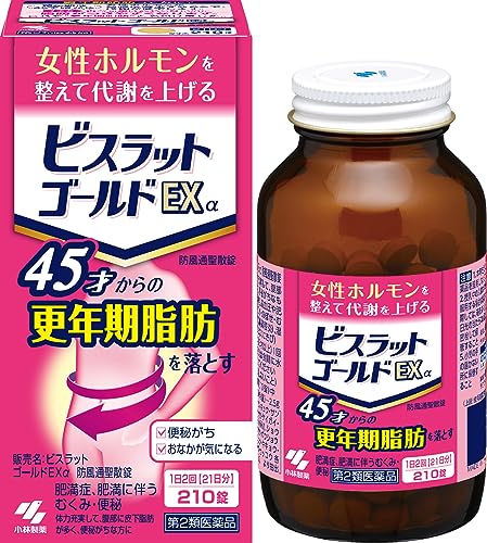2ʡۥӥåȥEX  210
