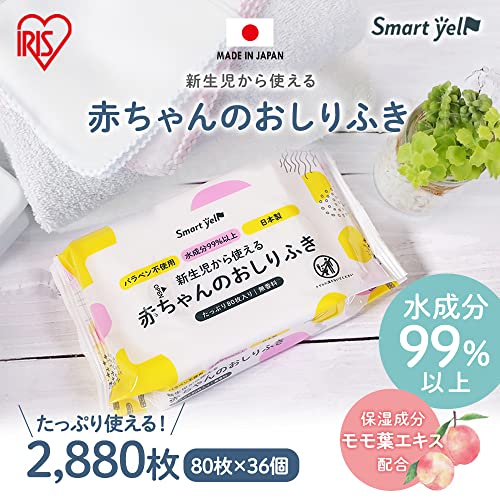 丸眞 ティッシュケース ディ ズニー 101匹わんちゃん にっこりパワー ウェットシートケース おしりふき 携帯用 持ち運び アウトドア 旅行 お出かけ 2335043000