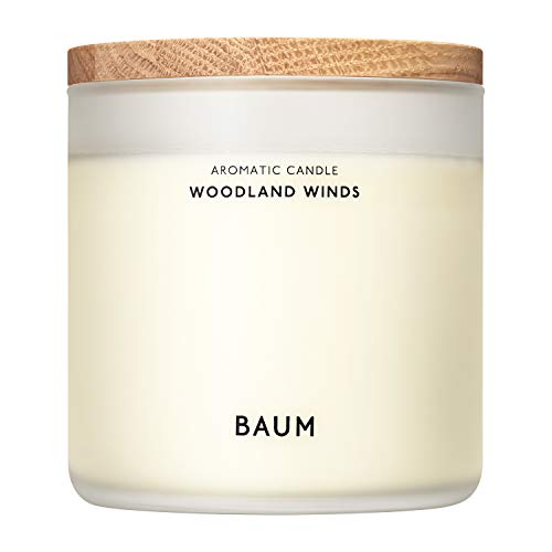 BAUM(バウム) アロマティック キャンドル 1 WOODLAND WINDS 230g