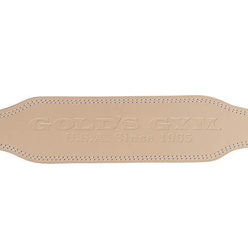 ������ɥ���(GOLD`S GYM) EX�쥶���٥�� G3322 L �ڽ鿴��~���ԡ� ���餫���ڤ��쥶�� �� �δ� ��� ������å� �٥�