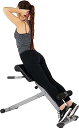 サニーヘルス&フィットネス(Sunny Health & Fitness) ハイパーエクステンションローマンチェア グレー 耐荷重113kg 4