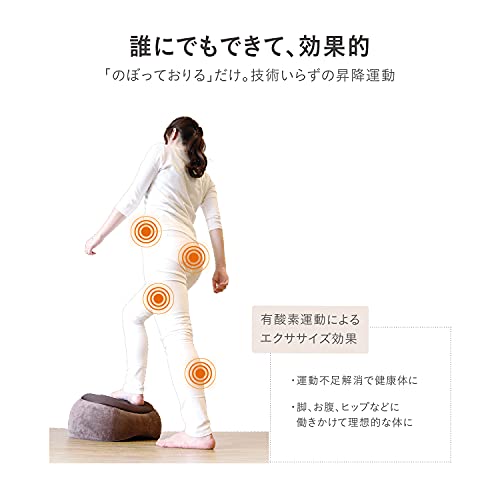 PROIDEA(�ץ����ǥ�) Ƨ���澺�ߥ����������� �����롼�ॹ�ƥåѡ� �磻���å� 0070-2331-02