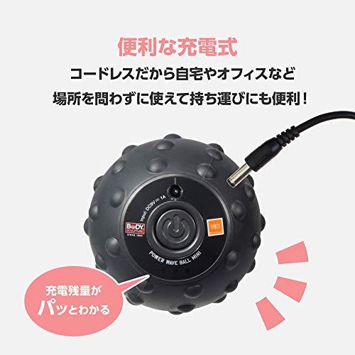 ボディスカルプチャー 振動 マッサージ パワーウェーブボールミニ ブラック 筋膜リリース リラクゼーション ボディケア 2
