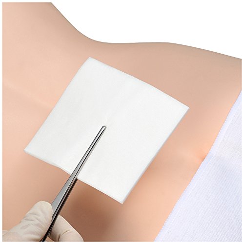 ���륱�� �ǥ�ޥ����� 100��100mm 11984