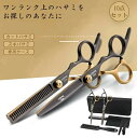 散髪 ハサミ カット すきバサミ ヘアカット 10点セット シザー セニング 散髪セット 散髪ケープ付き スキバサミ セルフカット 前髪 髪切り ウィッグはさみ...