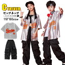 ベースボールシャツ シルバー キッズダンス衣装 セットアップ ヒップホップ シャツ 光沢 カーゴパンツ 黒 ゆったり へそ出し トップス ビスチェ k-pop ...