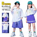 チアダンス 衣装 プリーツスカート パープル キッズダンス衣装 セットアップ ヒップホップ tシャツ 半袖 ハーフパンツ へそ出し トップス 女の子 スカート チアガール チア衣装 応援団 小学生 ダンス衣装 キッズ HIPHOP 団体服 発表会 ダンスウェア ステージ衣装 100 180cm