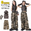 キッズダンス衣装 セットアップ 女の子 へそ出しトップス 迷彩パンツ グレー tシャツ カーゴパンツ ゆったり 韓国 k-pop 女の子 ヒップホップ ジャズダンス チアダンス ガールズ 演出服 応援団 アイドル衣装 ダンスウエア 団体服 発表会 HIPHOP 120-180cm