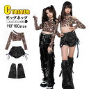豹柄 k-pop 衣装 へそ出し トップス レザーパンツ 黒 キッズダンス衣装 セットアップ 短パンツ レッグカバー デニムパンツ tシャツ 長袖 ヒップホップ...