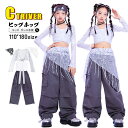 k-pop 衣装 スパンコール ヒップスカーフ キッズダンス衣装 セットアップ ヒップホップ キッズ へそ出し トップス シルバー カーゴパンツ 銀灰 k-po...