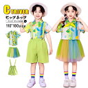 チアダンス 衣装 キッズ 小学生 緑 グリーン 柄シャツ キッズダンス衣装 セットアップ チアガール 衣装 女の子 メッシュスカート 応援団 可愛い 男の子 サ...