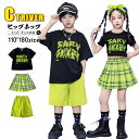チアダンス 衣装 キッズ 小学生 応援団 可愛い tシャツ 半袖 スカート ハーフパンツ チェック柄 グリーン キッズダンス衣装 セットアップ チアガール 幼稚...