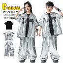 k-pop 衣装 シルバー キッズダンス衣装 セットアップ ヒップホップ コート シルバー ゆるシャツ カーゴパンツ ロングパンツ 光沢 tシャツ 黒 韓国 カコイイ 男の子 女の子 ヒップホップ キッズダンス衣装 HIPHOP 中学生 高校生 応援団 発表会 子供 演出服 ステージ衣装