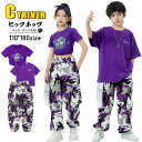 迷彩パンツ 紫 パープル キッズダンス 衣装 セットアップ ヒップホップ へそ出し トップス 女の子 tシャツ 大きめ 男の子 迷彩柄 カーゴパンツ ゆったり k-pop 衣装 韓国 ダンス 子供 演出服 キッズ 発表会 カッコイイ HIPHOP 練習服 ダンスウェア ステージ衣装 110 180cm