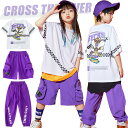 キッズダンス衣装 女の子 パンツ パープル パンツ セットアップ tシャツ 半袖 白 カーゴパンツ ショートパンツ 男の子 ガールズ ヒップホップ 子供 キッズ ダンス 衣装 ズボン 韓国 ゆったり ジャズダンス k-pop 発表会 応援団 ステージ衣装 チームお揃い 練習着 演出服