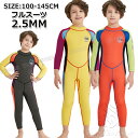 ウェットスーツ 子供用 男の子 2.5mm フルスーツ ウェットスーツ 防寒 ロング ウェットスーツ キッズ 子ども用 男の子 サーフィン ボディボード シュノ...
