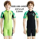 ウェットスーツ スプリング キッズ 男の子 2.5mm ウェットスーツ 子供用 少年 防寒 ダイビングスーツ キッズ 男の子 サーフィン ボディボード シュノー...