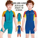 ウェットスーツ スプリング キッズ 男の子 2.5mm ウェットスーツ キッズ ダイビングスーツ フルスーツ 子供用 少年 防寒 男の子 サーフィン ボディボード シュノーケリング 冷え対策 保温 立体裁断 クラゲ予防