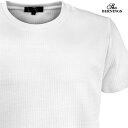 Tシャツ クルーネック ストライプ柄 メンズ シンプル 半袖 無地 mens(ホワイト白) 342342 3