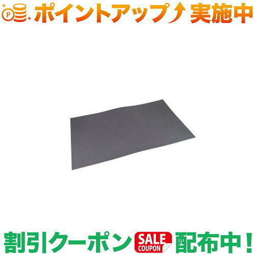 クーポン配布中★(エバニュー)EVERNEW Trail mat 100