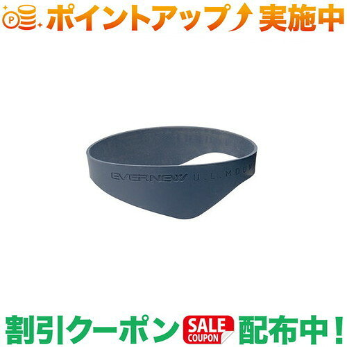 クーポン配布中★(エバニュー)EVERNEW Flame proof Sil. RING M