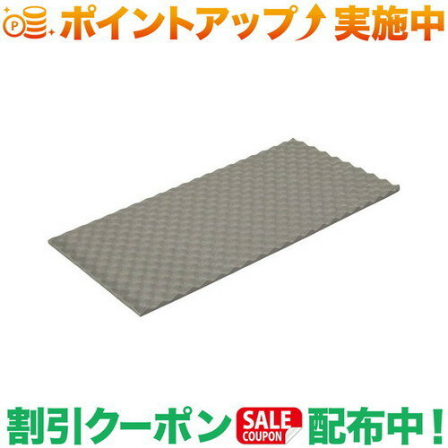 クーポン配布中★(エバニュー)EVERNEW Pinnacle mat 100 T14/9