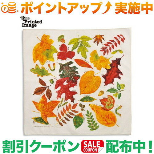 クーポン配布中★(ザ プリンテッド イメージ)The Printed Image ネイチャープリント フォールリーブズ