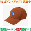 クーポン配布中★(ザ・ノース・フェイス)THE NORTH FACE スクエアロゴキャップ (アイアンブロンズ)(4)