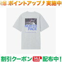 クーポン配布中★(ザ・ノース・フェイス)THE NORTH FACE ショートスリーブハーフスウィッチングロゴティー (ミックスグレー)(4)