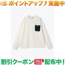 クーポン配布中★(コロンビア)Columbia ヤングストリートロングスリーブクルー (Sea Salt)