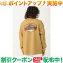 クーポン配布中★(コロンビア)Columbia トロバレーロングスリーブTシャツ (Curry)