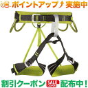 クーポン配布中★(カンプ)CAMP ALPINE FLASH SS