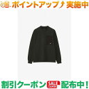 (ノースフェイス)THE NORTH FACE ロングスリーブフィールドポケットティー (ブラック) メンズ ロングtシャツ ロンt 秋服 冬服 トップス tシャツ ブランド アウトドア アウトドアファッション ノースフェイス ティーシャツ メンズブランドtシャツ 長袖tシャツ ロンティー