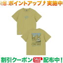 クーポン配布中★(チャムス)CHUMS アンチバグチャムスナショナルパークスTシャツ (Pistachio)(4)