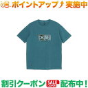 クーポン配布中★(チャムス)CHUMS チャムスレコード&ドーナツTシャツ (TL GN)(4)