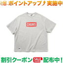 (`X)CHUMS OVSD S/S CHUMS Crew Top LP (H/GRYxRD)