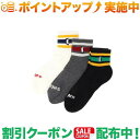 (`X)CHUMS 3P Border Crew Socks M