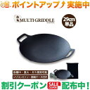 クーポン配布中★(JHQ) 鉄板マルチグリドル29cm単品
