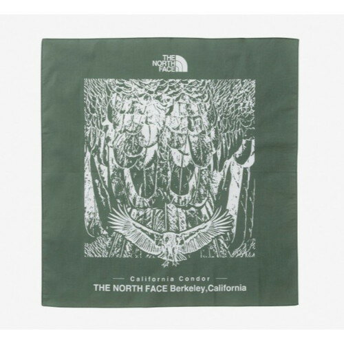 WINTER SALE�������(�����Ρ������ե�����)THE NORTH FACE ����ե���˥�����ɥ�Х���� (���å����꡼��)