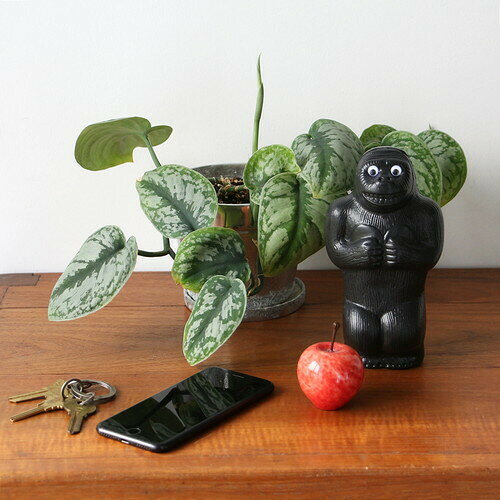 クーポン配布中★(ディテール)DETAIL Gorilla Bank S [2]