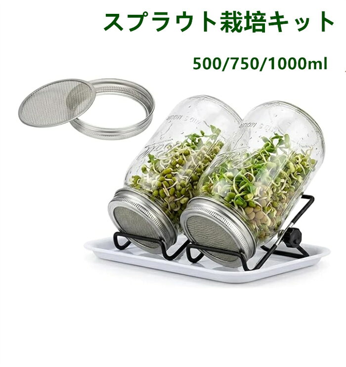 楽天市場】水耕栽培 容器（苗物栽培セット｜栽培セット