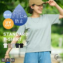綿100汗染み防止裾スリットTシャツ Tシャツ トップス 汗染み 汗染み防止 猛暑 カットソー レディース オフィスシンプル ウエア ナチュラル 夏 春 秋 無...