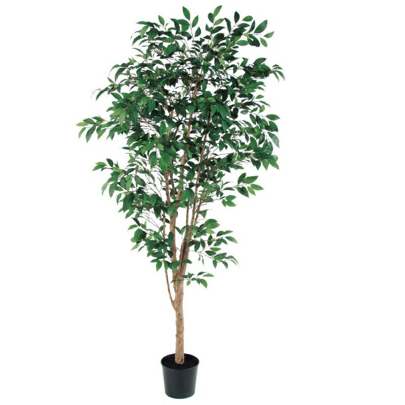 人工観葉植物 ファイカスツリー （ポット付き） グリーン 高さ215cm （P285-a50774) （代引き不可） インテリアグリーン フェイクグリーン