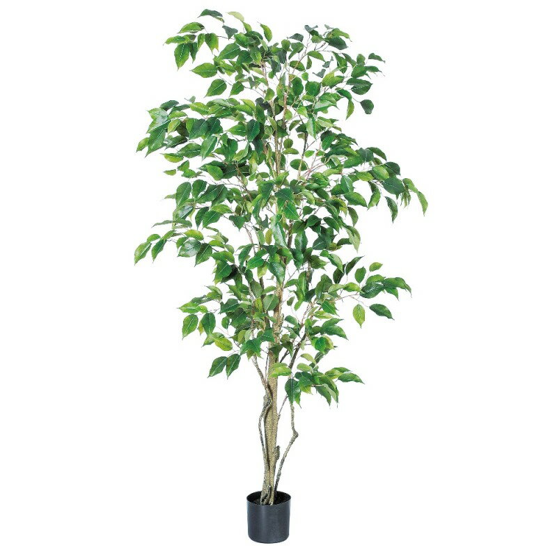 人工観葉植物 ファイカスツリー （ポット付き） グリーン 高さ150cm （P284-a50858) （代引き不可） インテリアグリーン フェイクグリーン