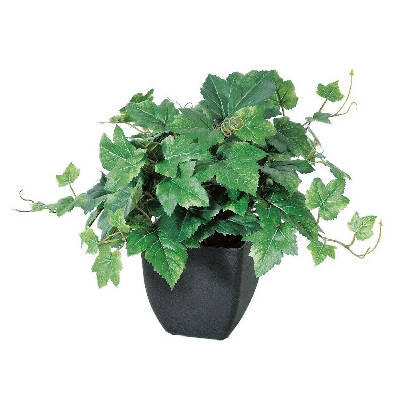 樂天商城 - 人工観葉植物 グレープリーフブッシュ （ポット付き） グリーン 高さ30cm （P288-a50877) （代引き不可） インテリアグリーン フェイクグリーン