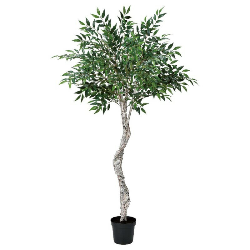 人工観葉植物 スマイラックスツリー （ポット付き） グリーン 高さ170cm （P283-a50879) （代引き不可..