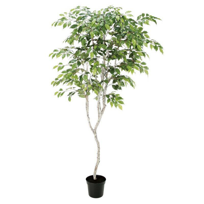 人工観葉植物 ファイカスツリー （ポット付き） グリーン 高さ182cm （P285-a50881) （代引き不可） インテリアグリーン フェイクグリーン