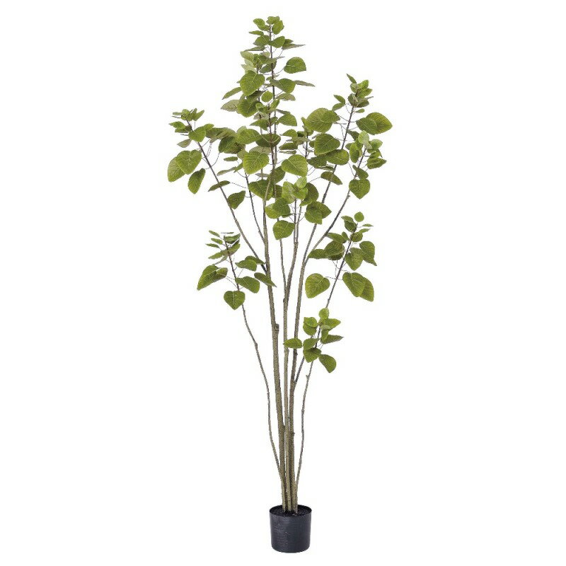 乐天商城 - 人工観葉植物 スモークツリー （ポット付き） ライトグリーン 高さ155cm （P280-a50898) （代引き不可） インテリアグリーン フェイクグリーン